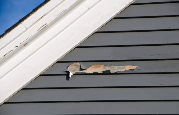 Trusted Springhill, LA Junk Removal Experts
